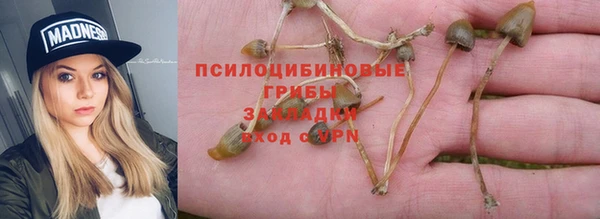мяу мяу кристалл Каменногорск