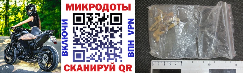 купить наркотик  Ужур  MEGA tor  Псилоцибиновые грибы GOLDEN TEACHER 